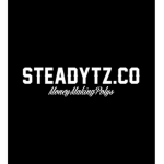 steadytz.co