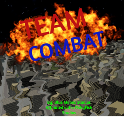 Team Combat