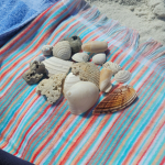 Shells games
