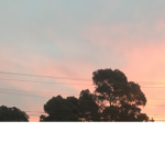 SunsetSquAd