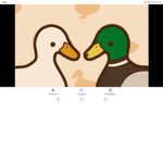 Ducksarelife123