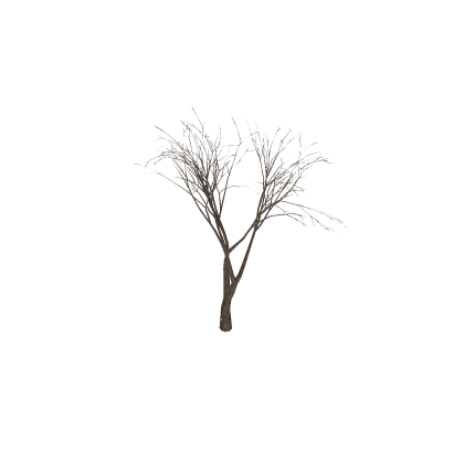 Tree Wood Mesh
