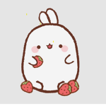 Ari/Berry Bunny