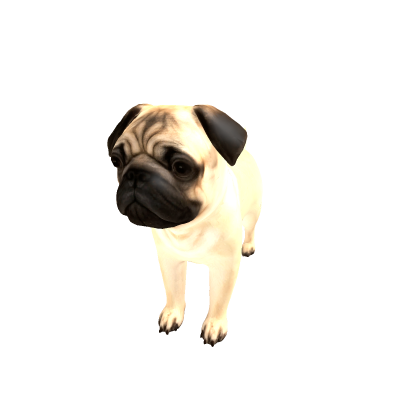 Pug Dog Rig
