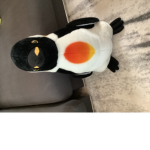 The cool kids/the penguin group