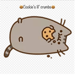 Cookie’s lil’ crumbs
