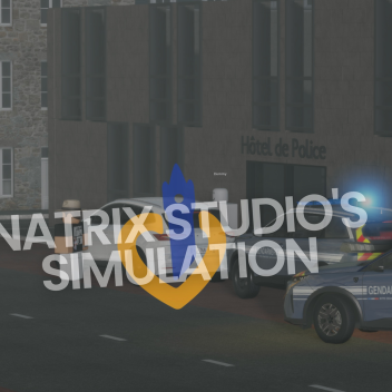FR・© NATRIX STUDIO'S ™ V1