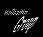 Vallialfin's group