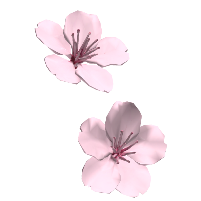  さくら sakura cherry blossom pink flower clip