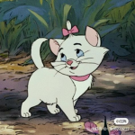 coquette kween