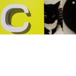 Cats nextbot group