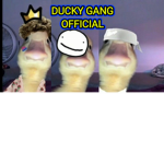 Ducky Gang OFFICIAL