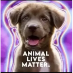 Animals lives matter showed