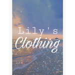 Lily’s Clothing Group