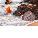 fishy bois