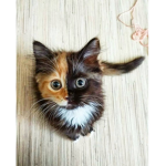 The #kitty club