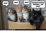 MeowMcoms