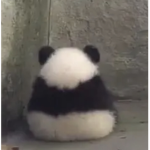 Bababooey >:)