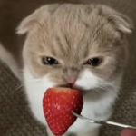 あーるの部屋