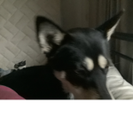 DebtLol