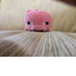 Pig team pt