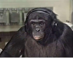 CoolMonkeys22177