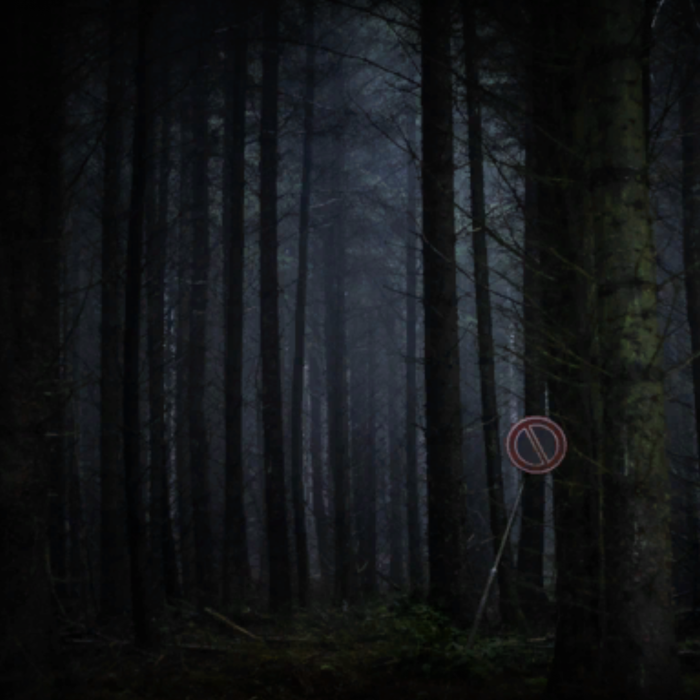 Forbidden grunge forest