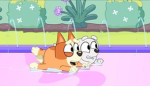 Bingo is goofy