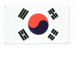 The Korean Government (Not the actual)