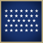 The Union Navy of America
