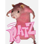 DaRatzz