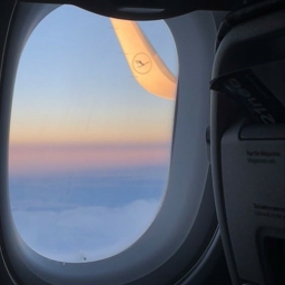 ✈︎