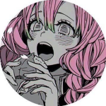 Misuri fans