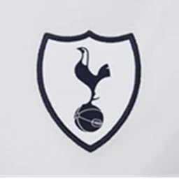 ISonHeungMinI Pitch icon