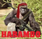KING BOB MONKE