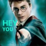 Harry potter biggest fans ever