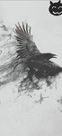 Black Birds[S.P]