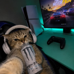 SiLveR_gang