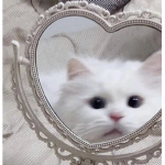 •ʟɪᴛᴛʟᴇ ʙᴀᴛ ᴅʀᴀɢᴏɴs•