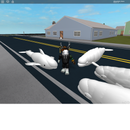 You Might of Met Beluga Club