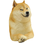 Attack of doge