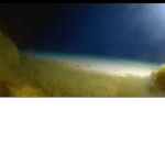 The Deep Waters