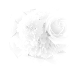 ☾