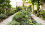 - The Garden -
