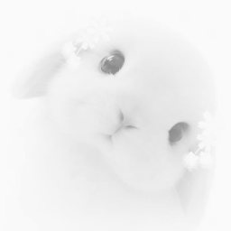U╹ㅅ╹U