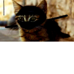 Team Ninja Cat
