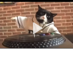 Djbio