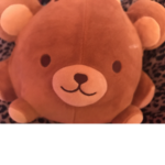 Bear buns