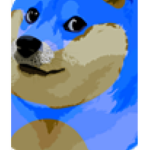 Blue Doge Blue Doge