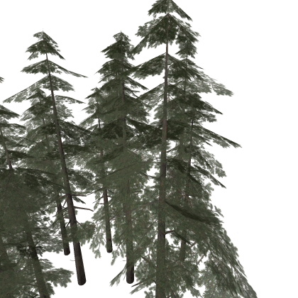 Realistic Trees